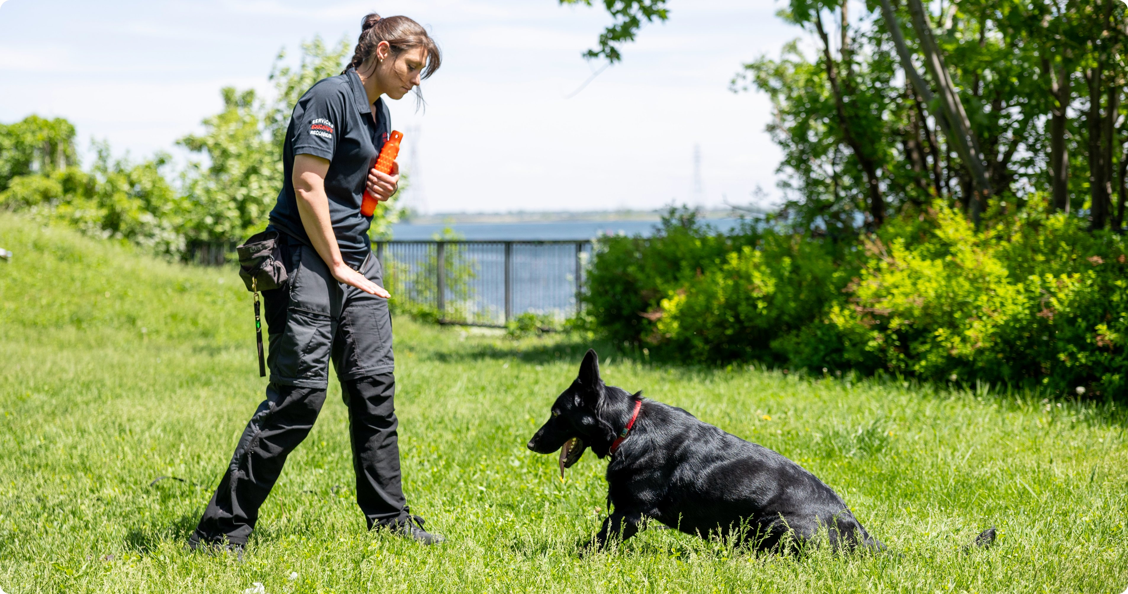 Inscrivez votre chien pour la rentrée