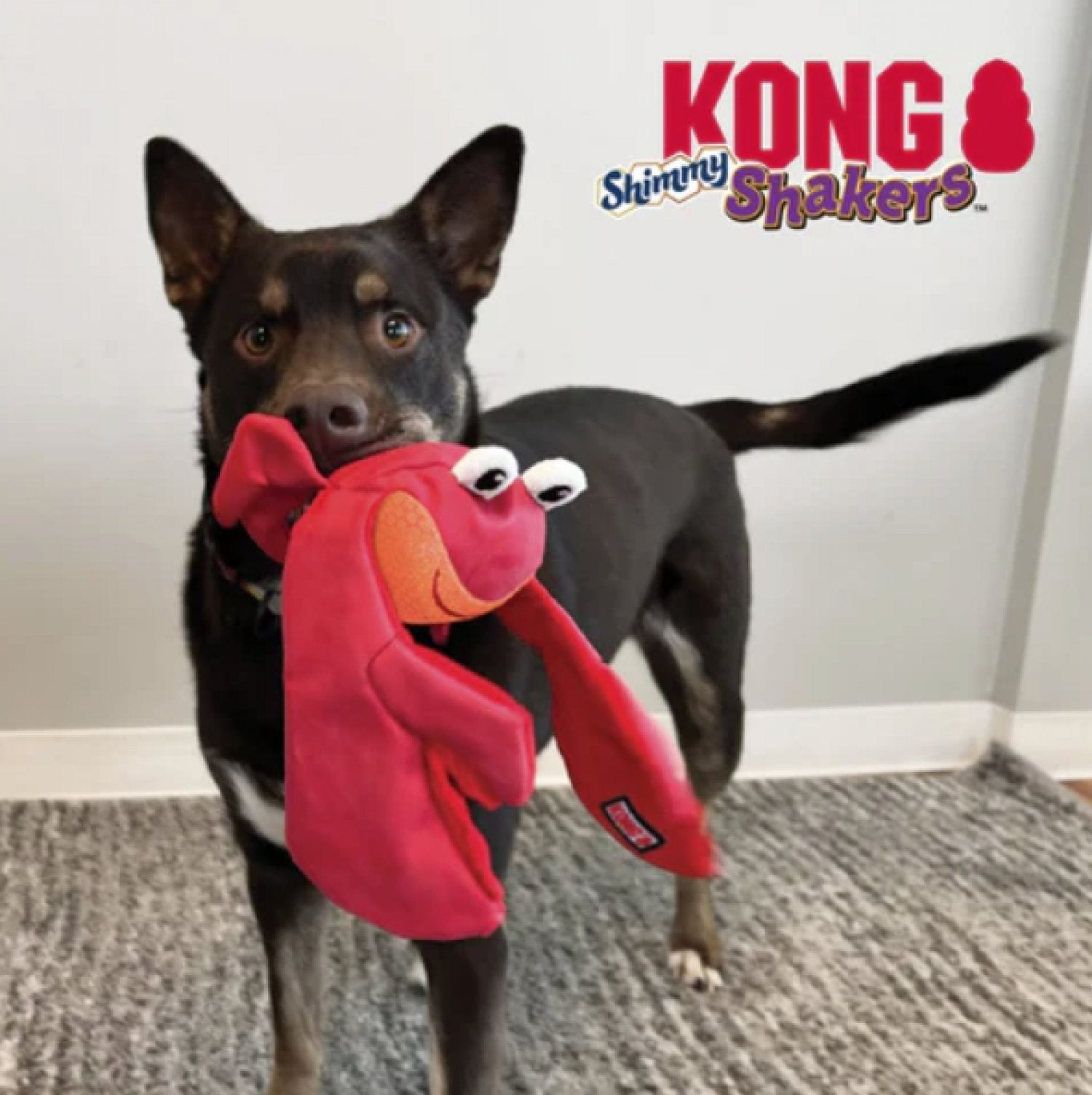 Kong - Shakers Shimmy Crab