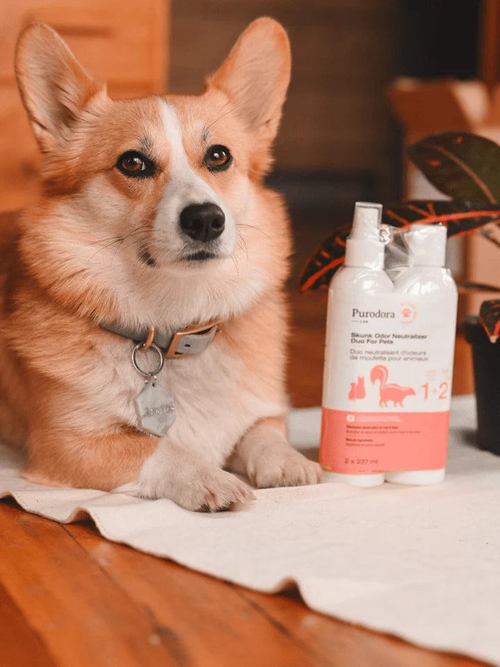 Purodora-Lab - Duo neutralisant d'odeurs de moufette pour animaux