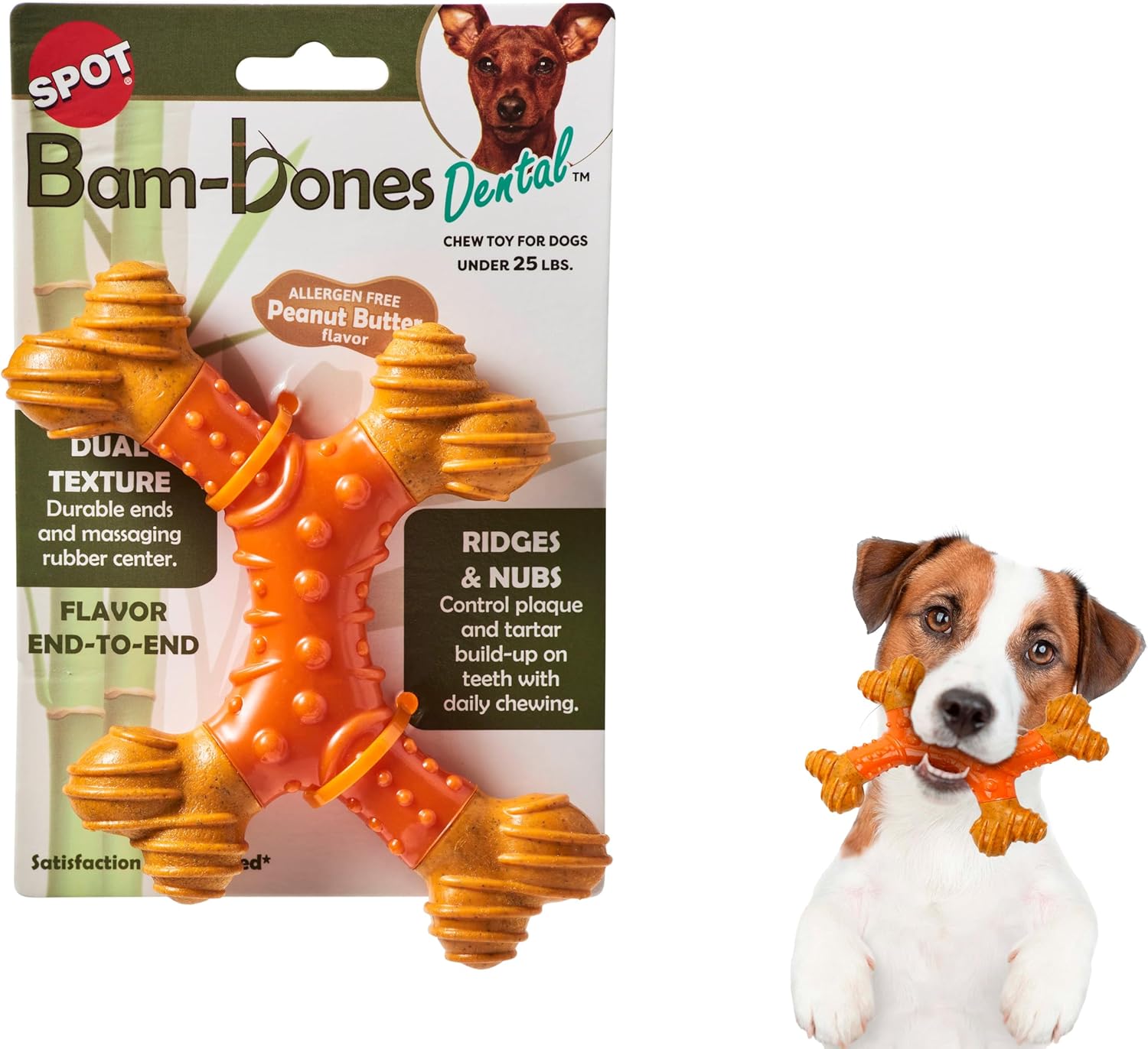 Spot - Bam-Bones Dental à saveur de beurre de cacahuètes