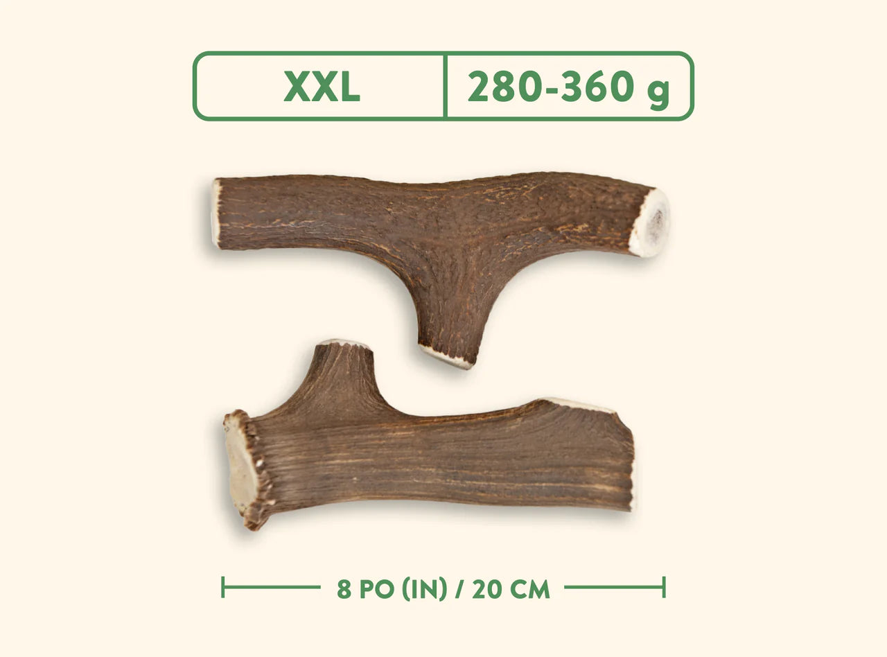 Jawgler - Bois de cervidés à mâcher