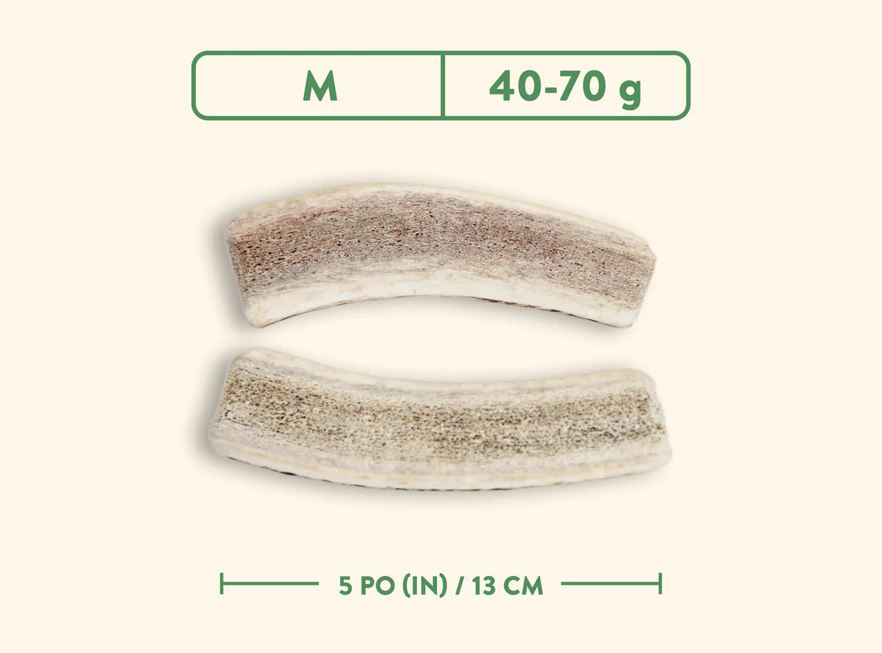 Jawgler - Bois de cervidés à mâcher