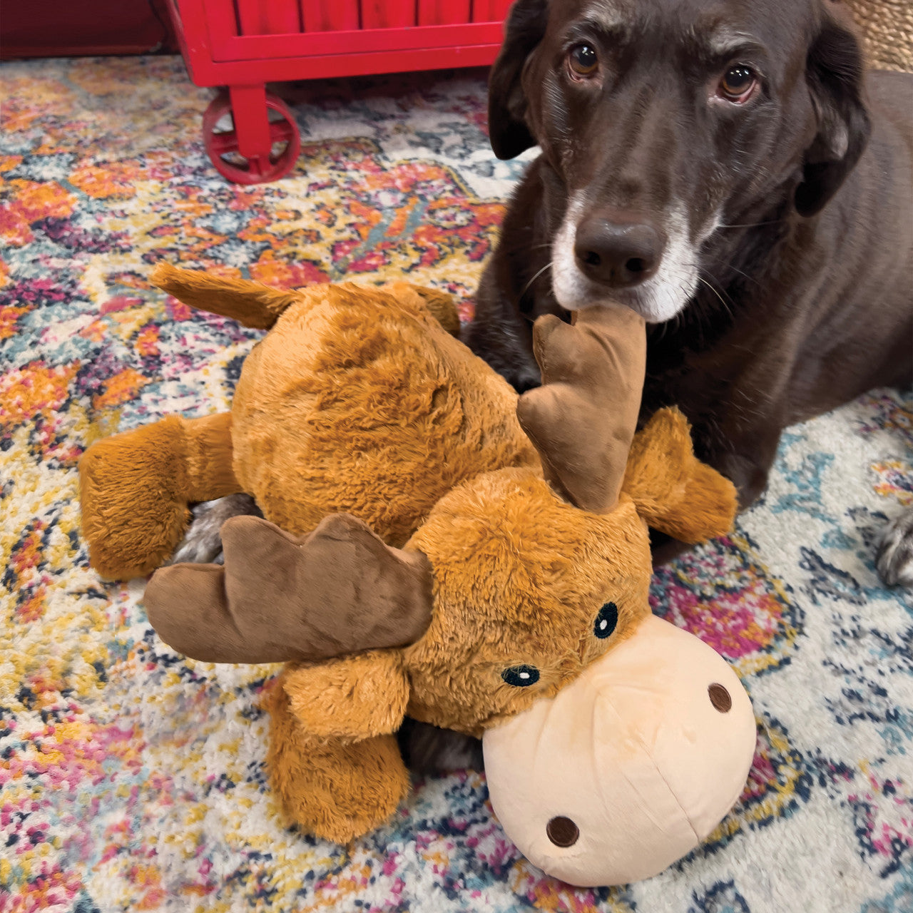 Kong - Cozie Marvin Moose