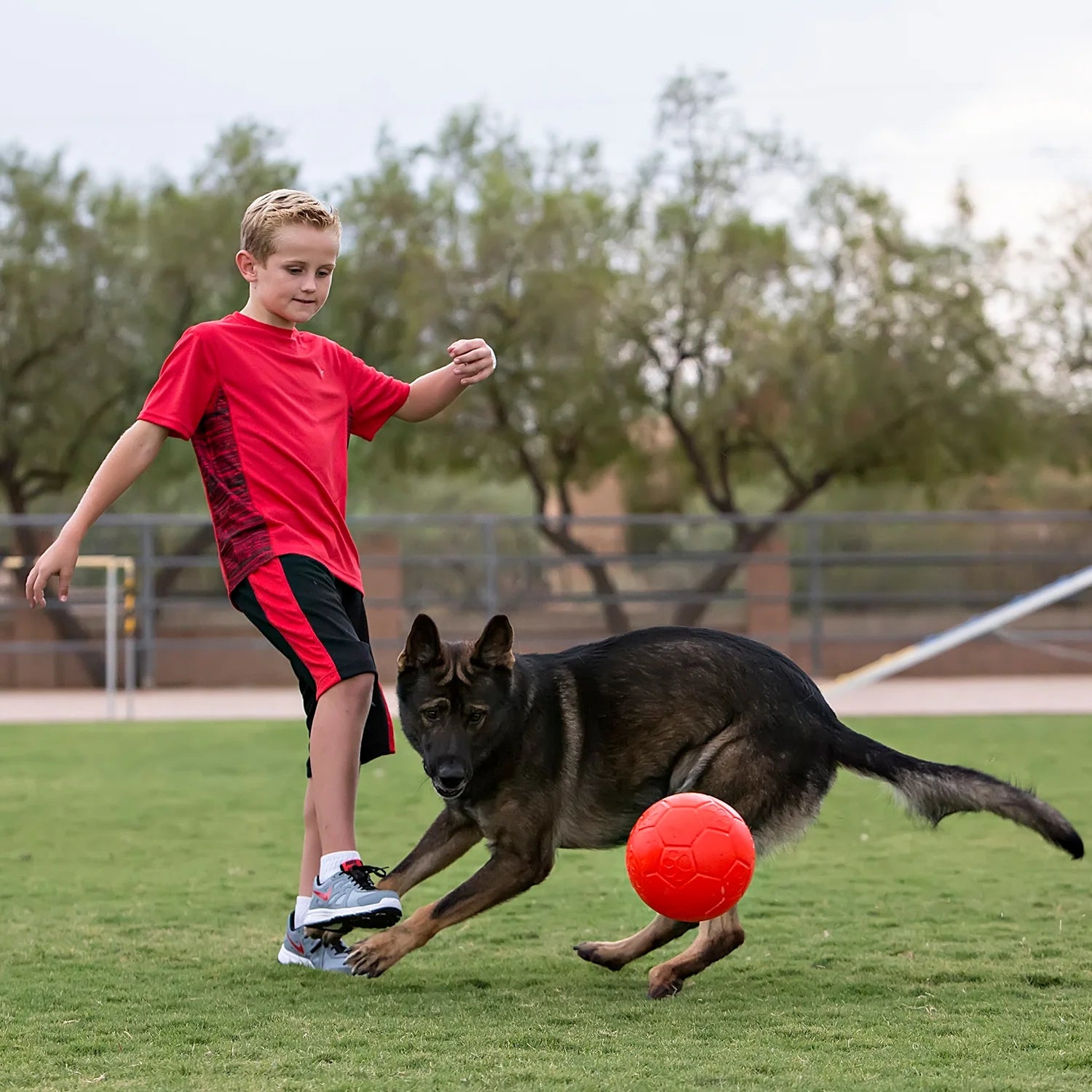 Jolly Pets - Ballon de soccer