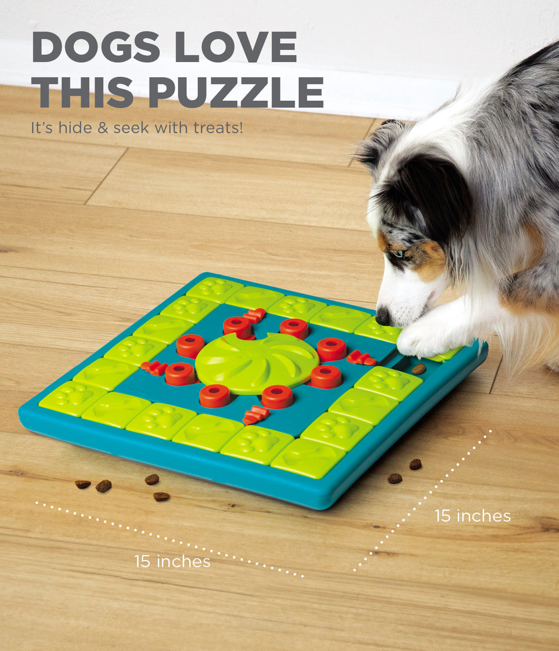 Outward Hound - Casse-tête à friandises (Multipuzzle - Niveau 4)