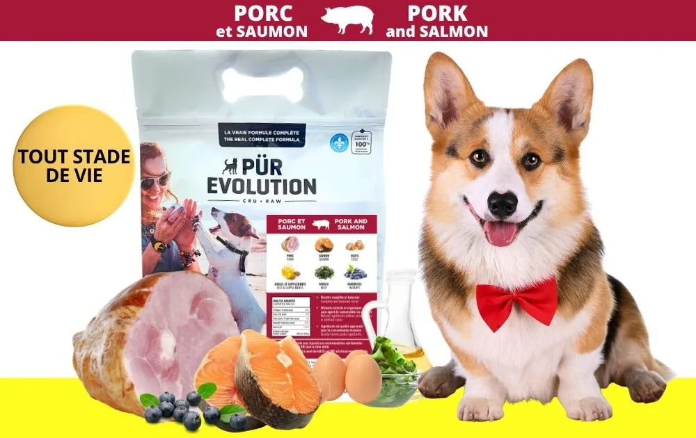 Pür Evolution - Nourriture crue pour chiens