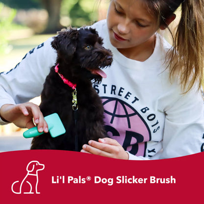 Li'l Pals - Brosse à picots / Lissoir