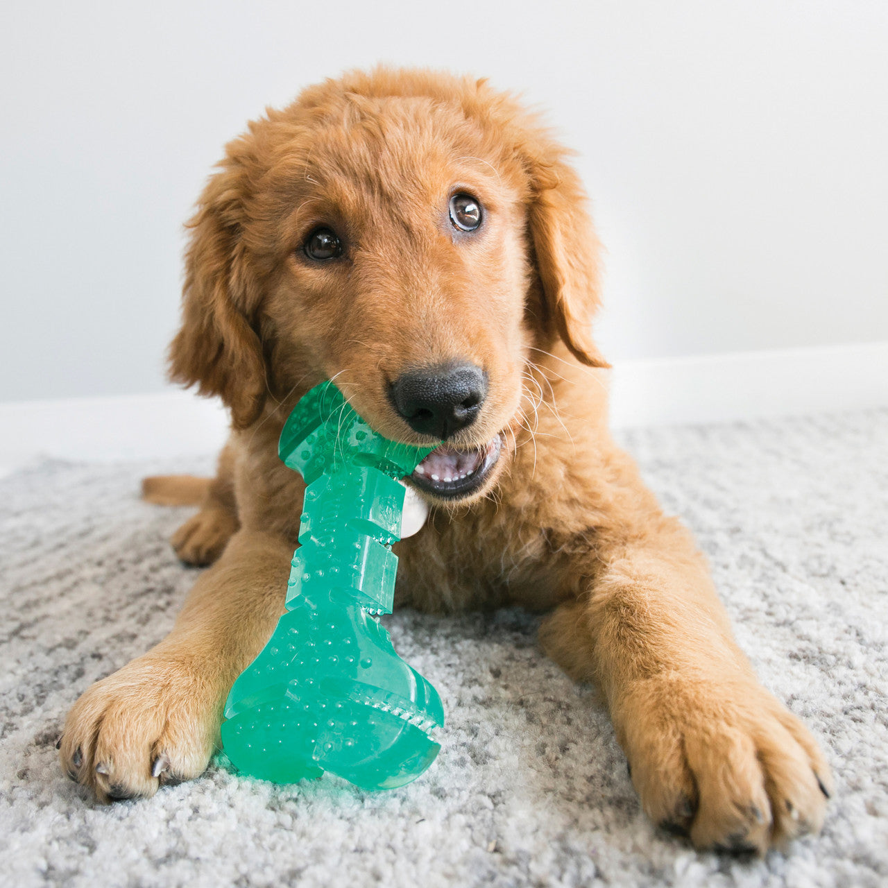 Kong - Squeez Dental Stick