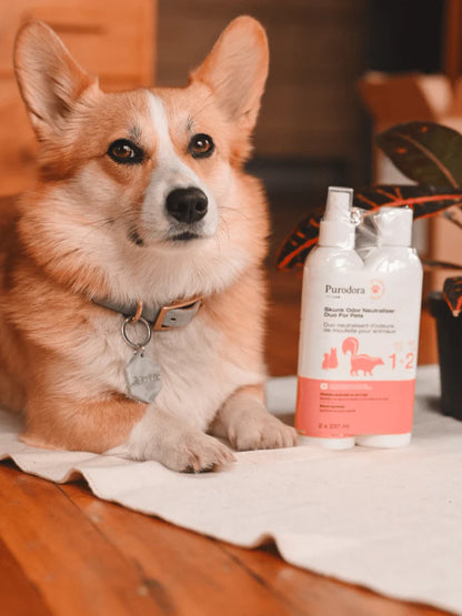 Purodora-Lab - Duo neutralisant d'odeurs de moufette pour animaux