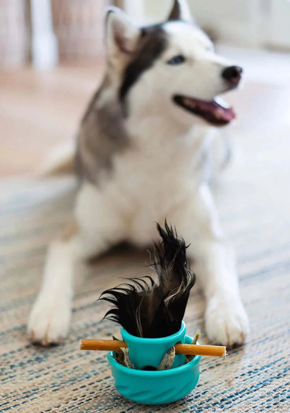 Messy Mutts - Totally Pooched - Champignon Casse-tête et jouet