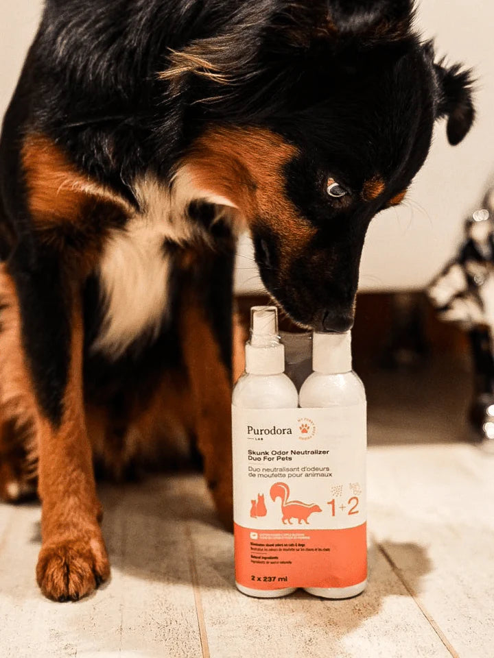 Purodora-Lab - Duo neutralisant d'odeurs de moufette pour animaux