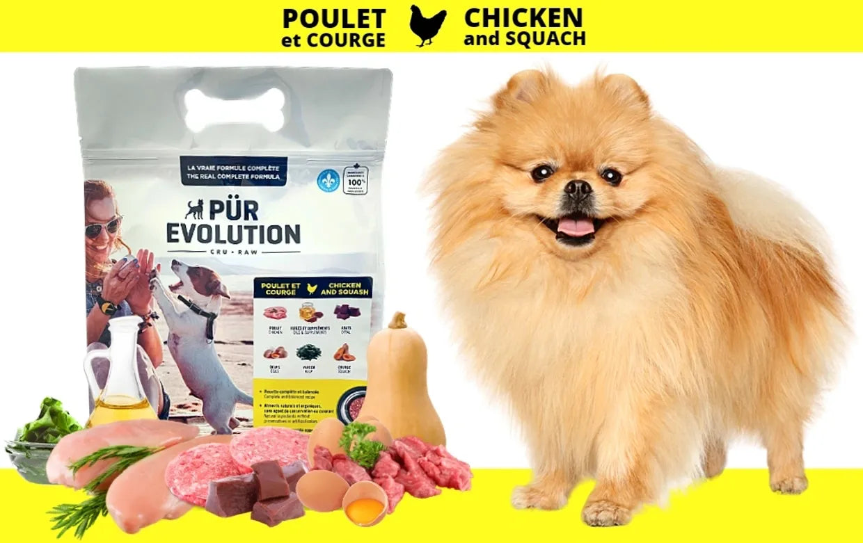 Pür Evolution - Nourriture crue pour chiens