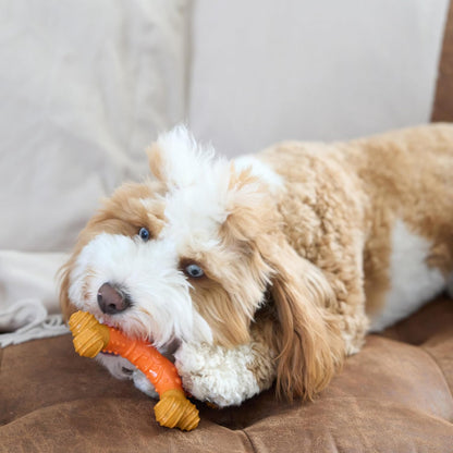 Spot - Bam-Bones Dental à saveur de beurre de cacahuètes