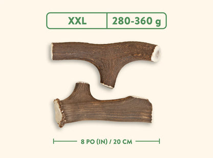 Jawgler - Bois de cervidés à mâcher