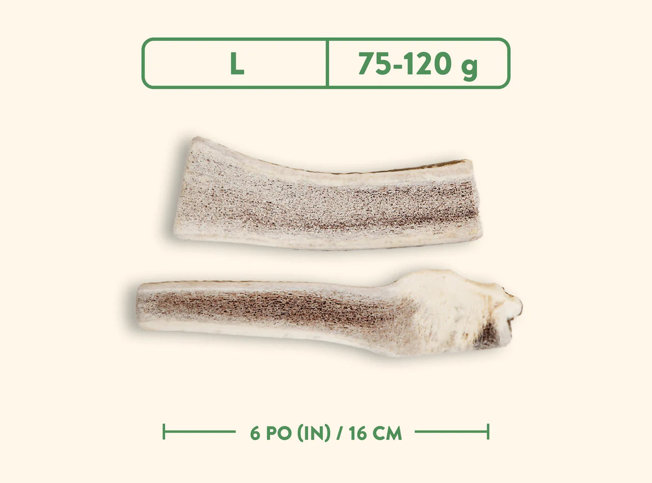 Jawgler - Bois de cervidés à mâcher