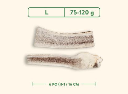 Jawgler - Bois de cervidés à mâcher