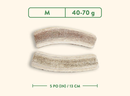 Jawgler - Bois de cervidés à mâcher