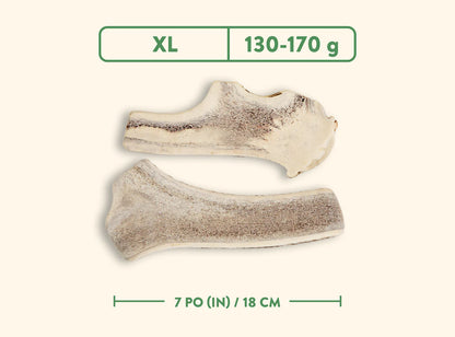 Jawgler - Bois de cervidés à mâcher