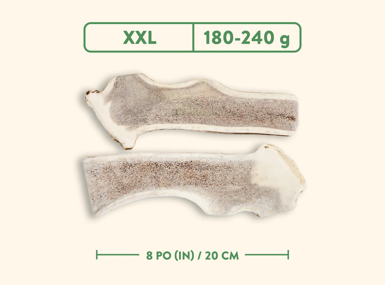 Jawgler - Bois de cervidés à mâcher