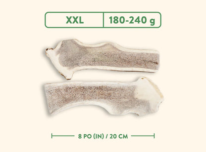 Jawgler - Bois de cervidés à mâcher