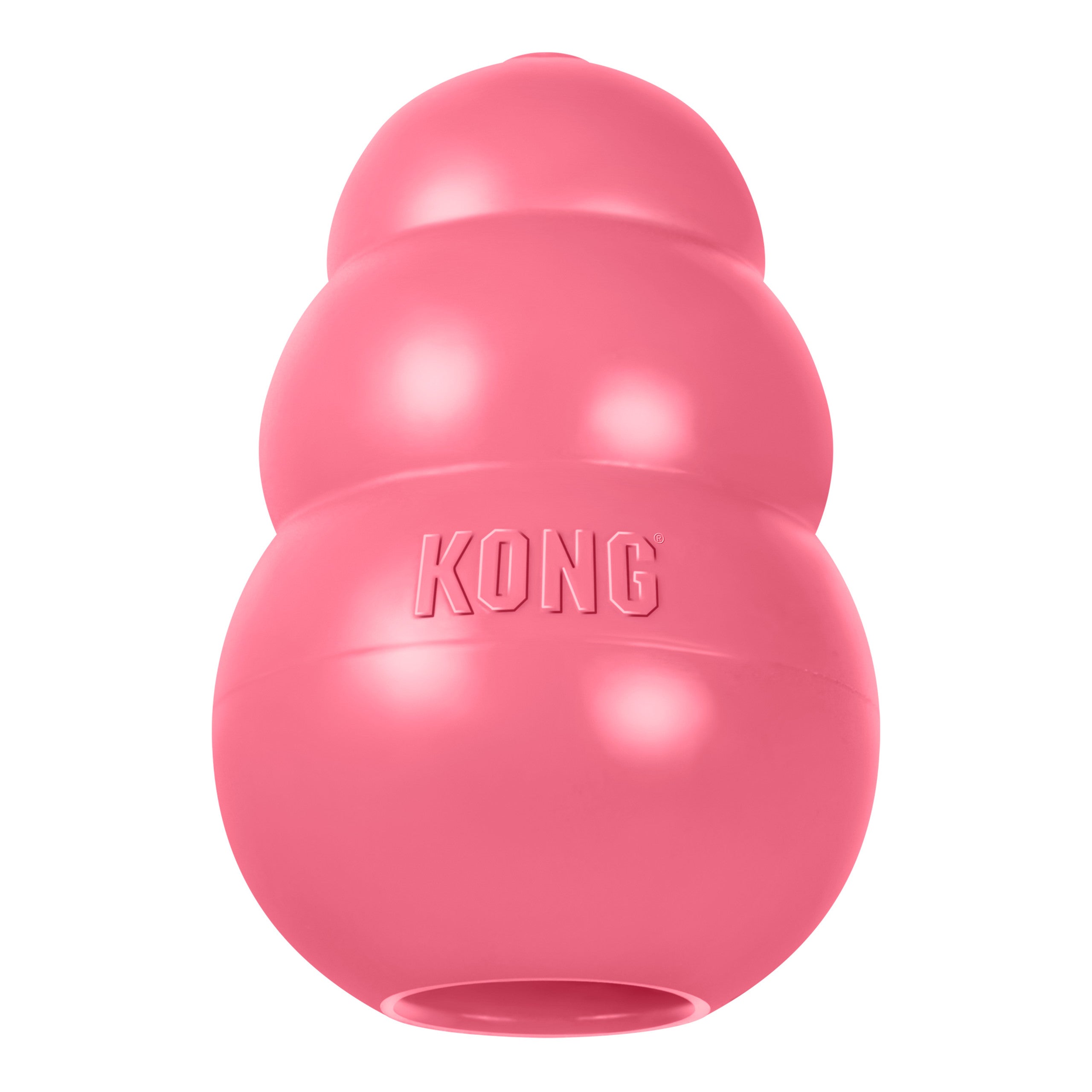 Kong - Kong Puppy