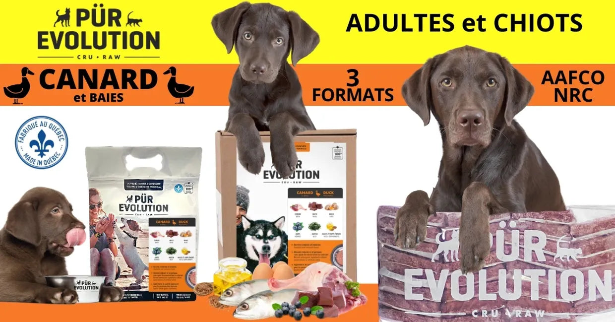 Pür Evolution - Nourriture crue pour chiens