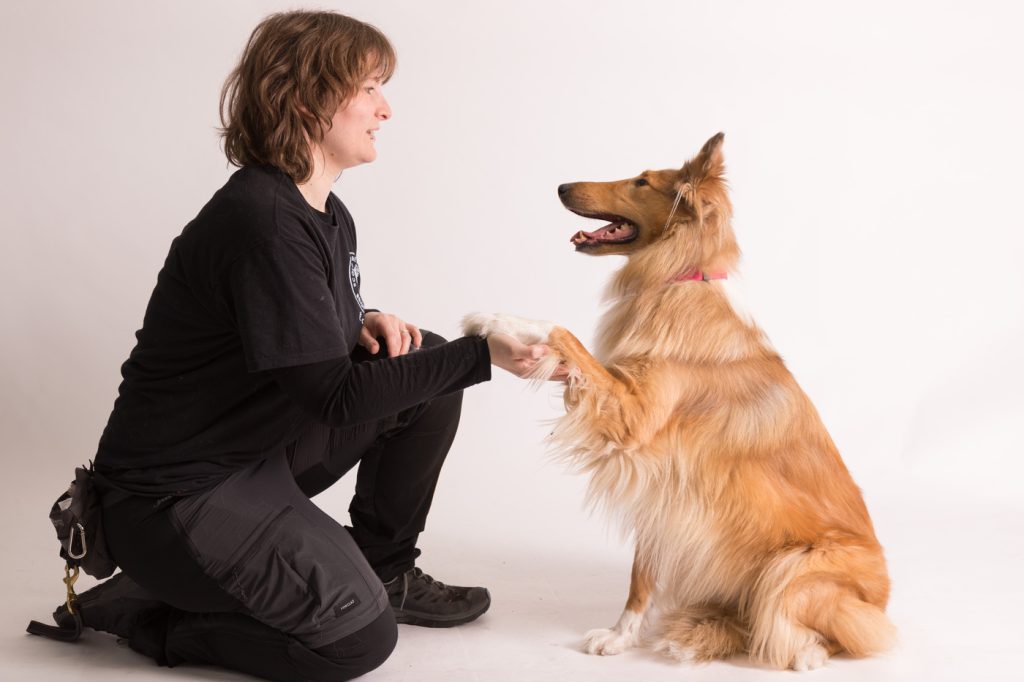 Canine Educators: A Career as a Dog Master